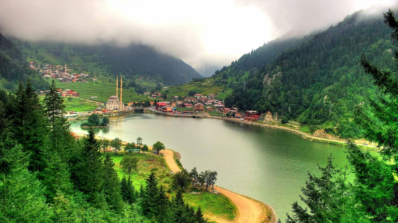 Bakem" Kelimesi ve Yöresel Kullanımı: Karadeniz’in Samimi Konuşma Üslubu