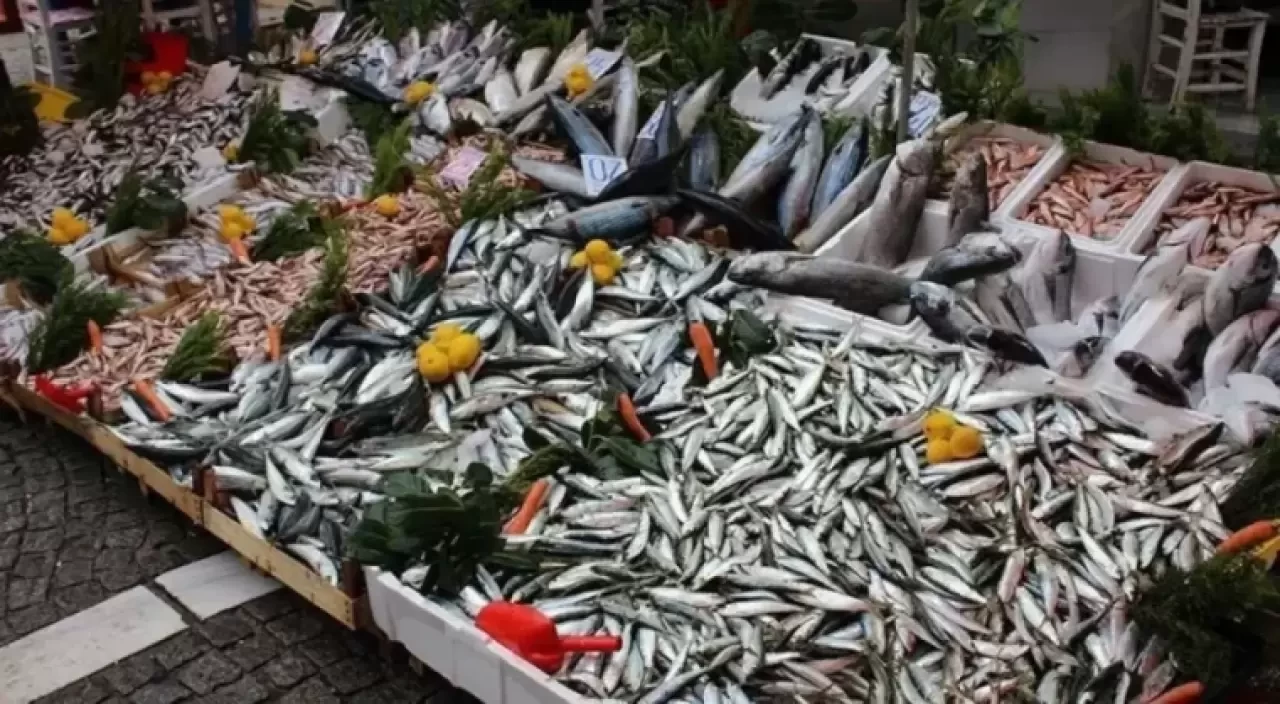 Balık Sezonunda Hamsi Başrolde: Kilosu 100 TL’ye Düştü