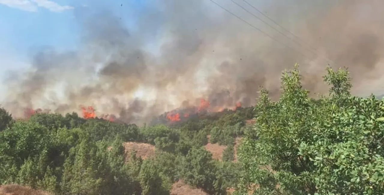 Bingöl'de Çıkan Yangında 7 Ev Tahliye Edildi, 200 Kişilik Ekip Müdahale Etti