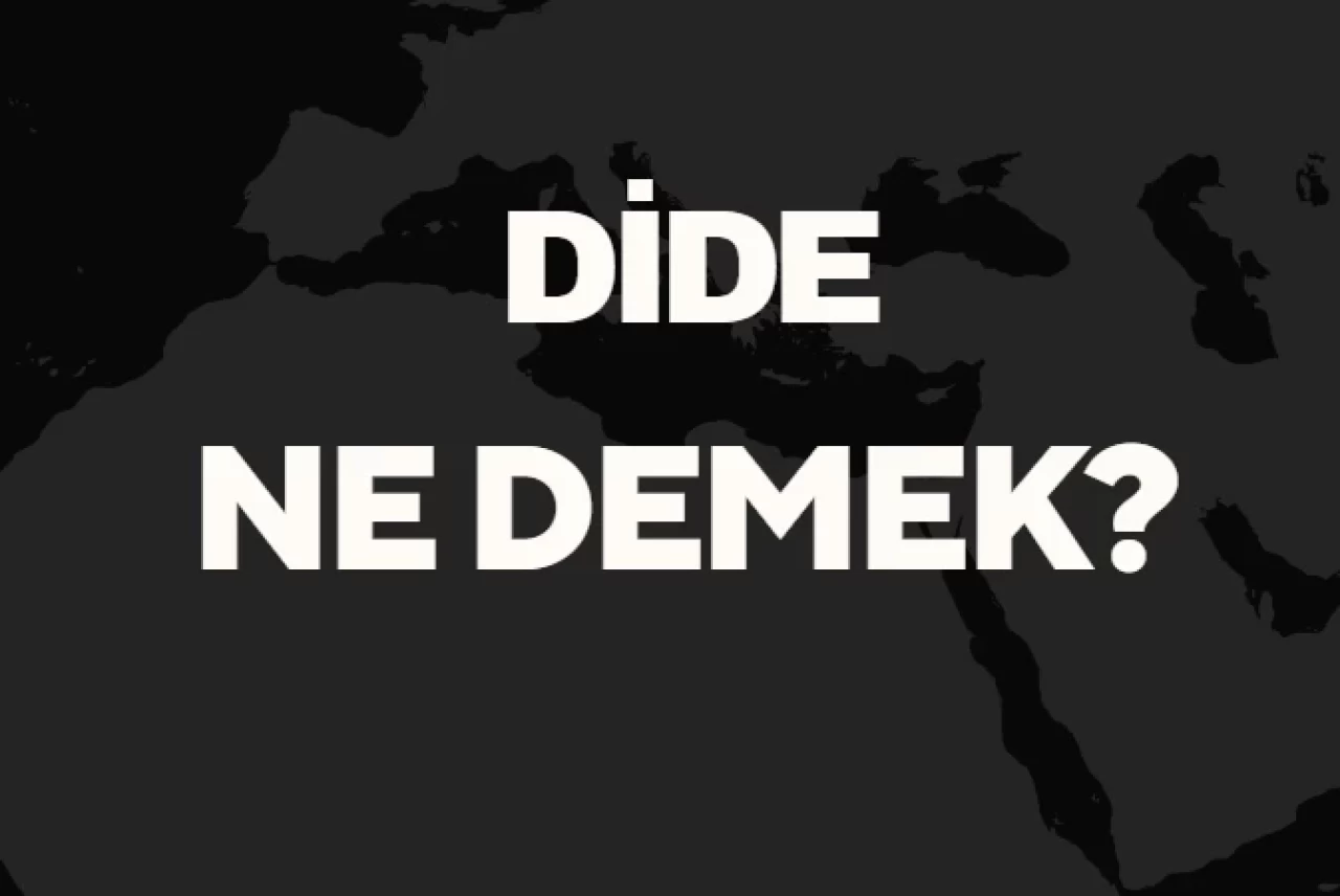 Dide Ne Demek? TDK Anlamına Göre Dide Sözlük Anlamı Nedir?