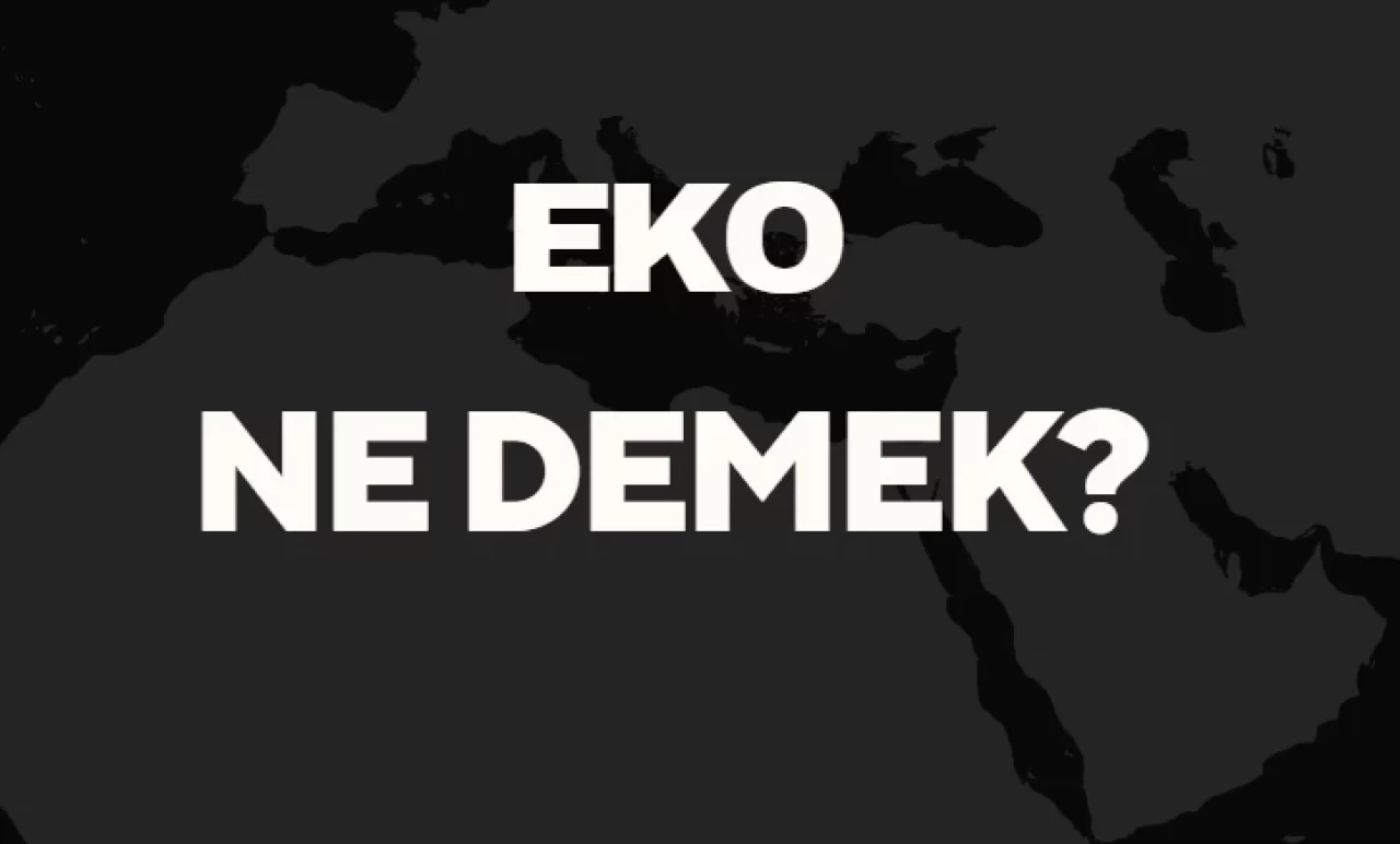 Eko Ne Demek? Fransızca "Eko" Kelimesi ve Yankı Anlamı Üzerine Örneklerle Açıklama