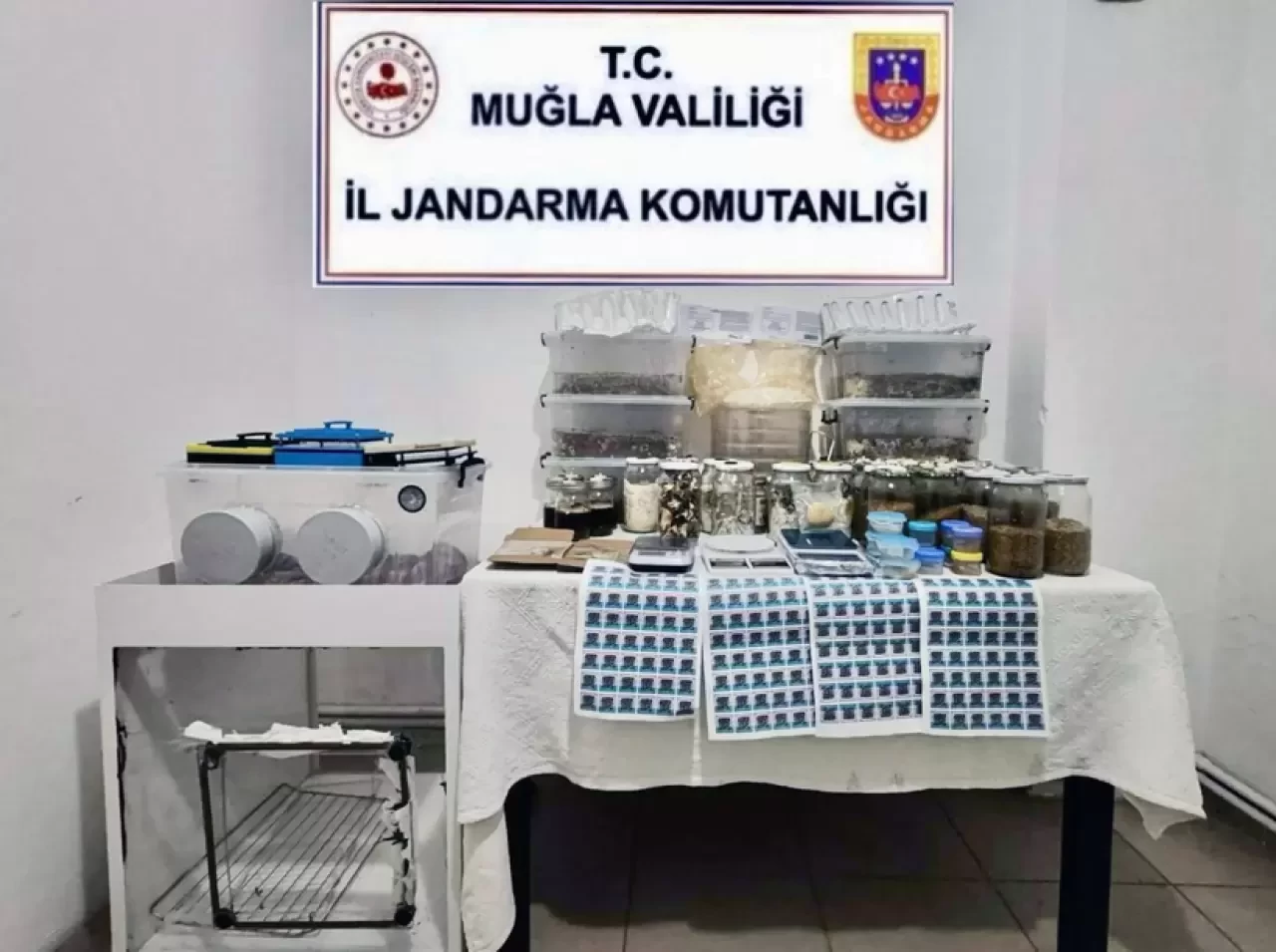 Muğla'da Dev Uyuşturucu Operasyonu: 110 Milyon TL Değerinde LSD Ele Geçirildi!