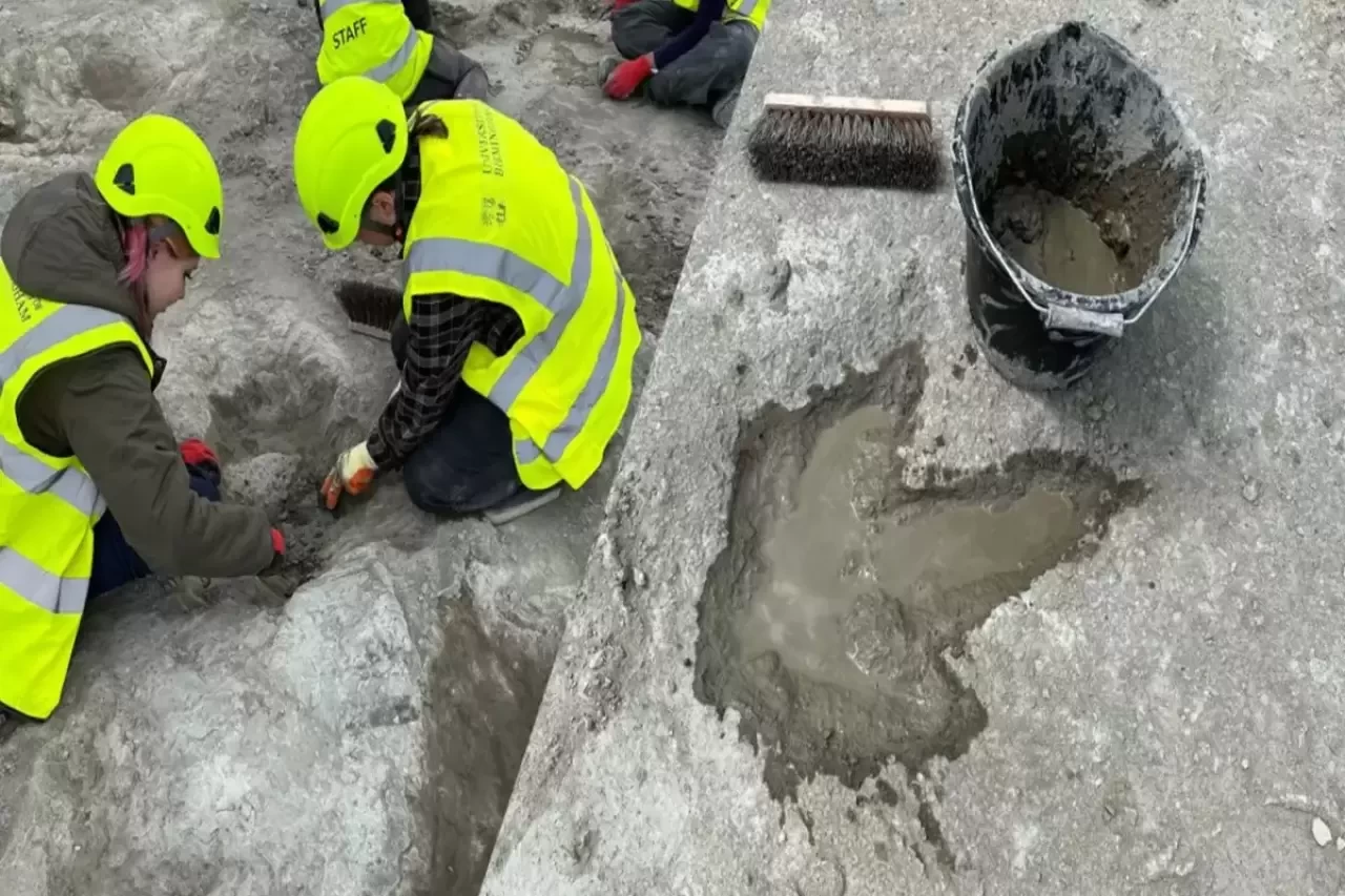 Bilim Dünyasında Heyecan Yaratan Keşif: Dinozor Ayak İzleri Bulundu