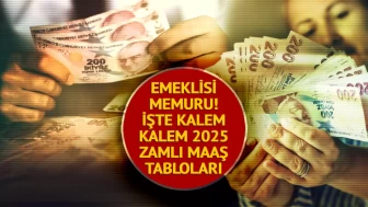 Emekli ve Memur Maaşlarına Ocak 2025 Zammı Belli Oldu: İşte Detaylı Tablo ve Ödeme Takvimi