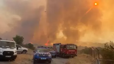 İzmir’de Devam Eden Orman Yangını: Tahliyeler, Müdahaleler ve Zor Anlar