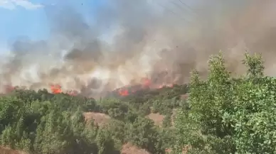 Bingöl'de Çıkan Yangında 7 Ev Tahliye Edildi, 200 Kişilik Ekip Müdahale Etti