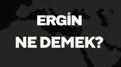 Ergin Ne Demek TDK? Anlamı ve Örnek Kullanım Alanları