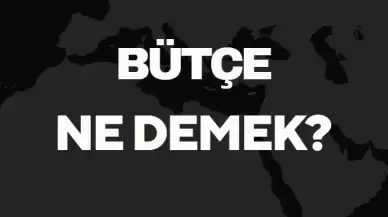 Bütçe Ne Demek TDK? Anlamı ve Örnek Kullanım Alanları