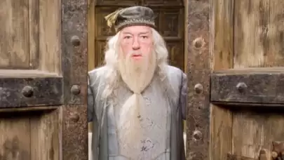 Harry Potter Dizisinde Dumbledore’u Kim Canlandıracak? Yeni Sezon İçin Sürpriz İsim Açıklandı!