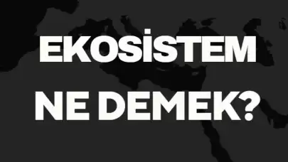 Ekosistem Ne Demek TDK? Anlamı ve Örnek Kullanım Alanları