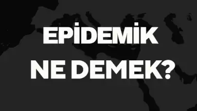 Epidemik Ne Demek TDK? Anlamı ve Örnek Kullanım Alanları