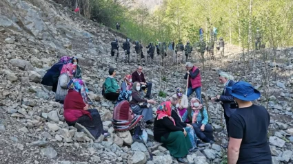 İkizdere’nin Ormanlık Alanları Tehlikede: Taş Ocağı Kararı Tepki Çekti