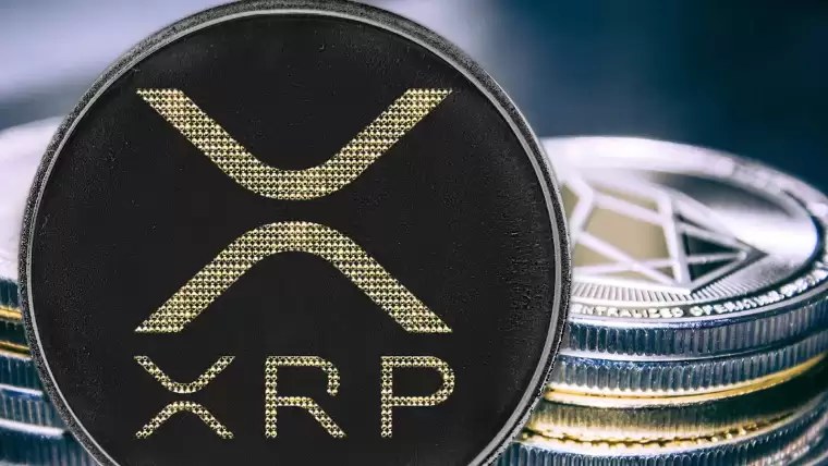 2024 Yılında XRP Neden Düştü