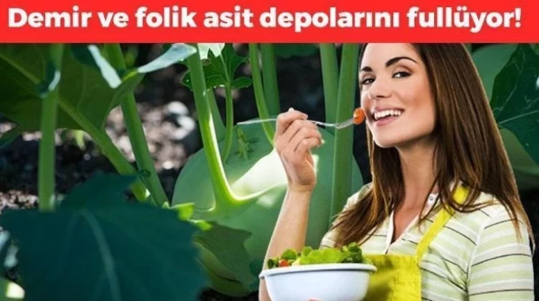 Folik Asit ve Demir: Hamilelikte Neden Önemlidir?