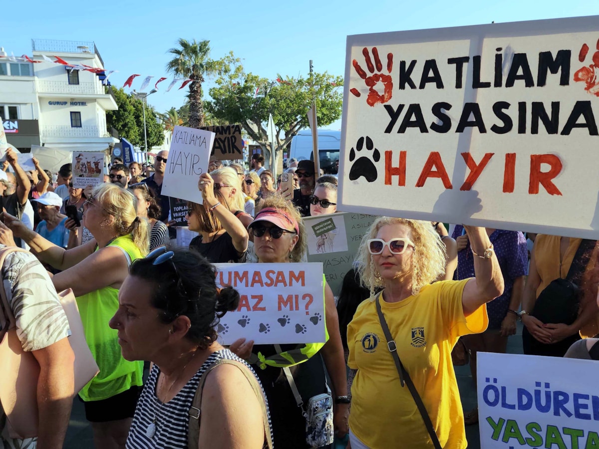 Bodrum’daki Ötenazi Protestosu: Sağlık ve Hasta Haklarına Vurgu