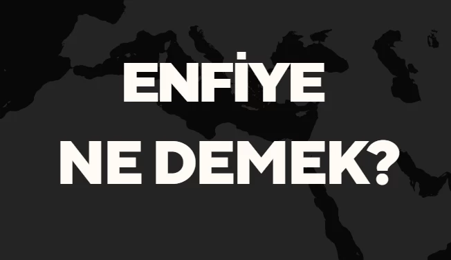 Enfiye Ne Demek TDK? Anlamı ve Örnek Kullanım Alanları